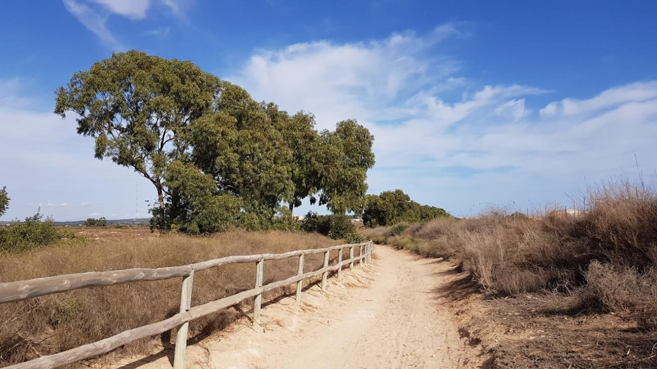 Naturpark La Mata_03
