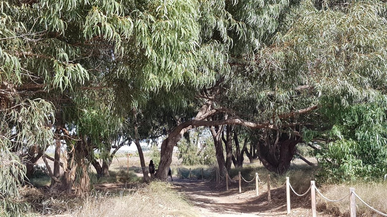 Naturpark La Mata_09