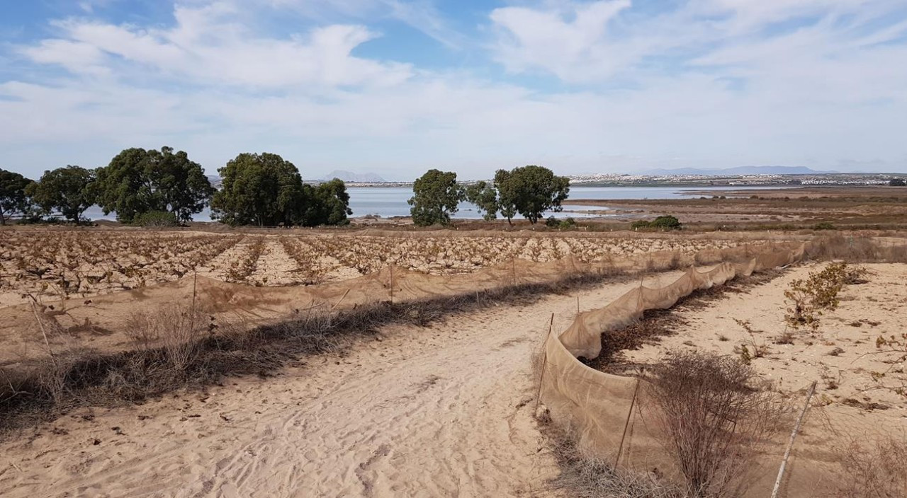 Naturpark La Mata_12