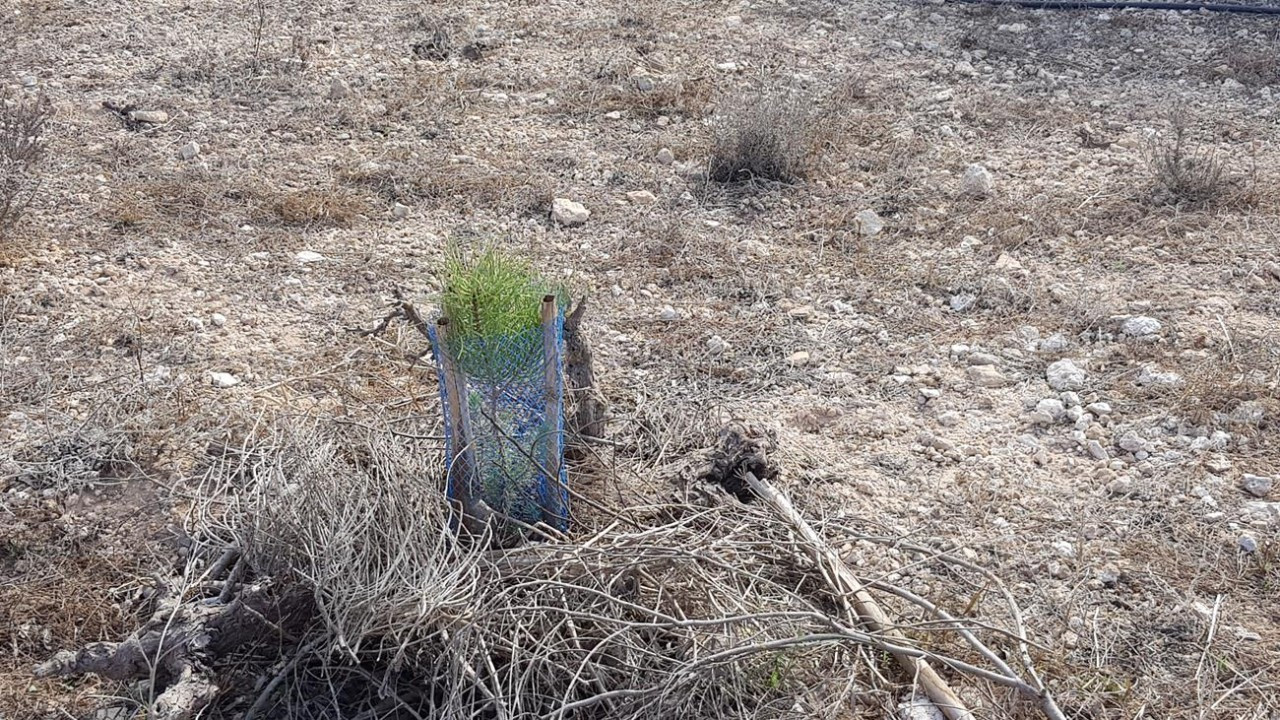 Naturpark La Mata_15