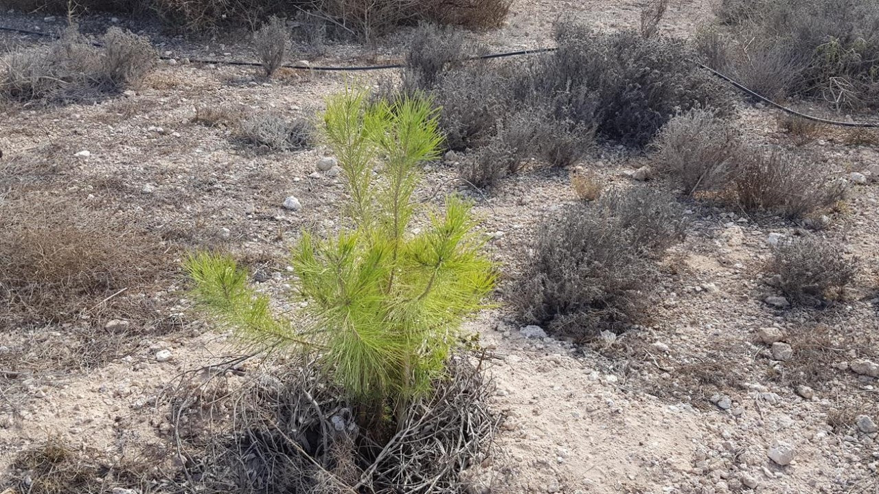 Naturpark La Mata_16