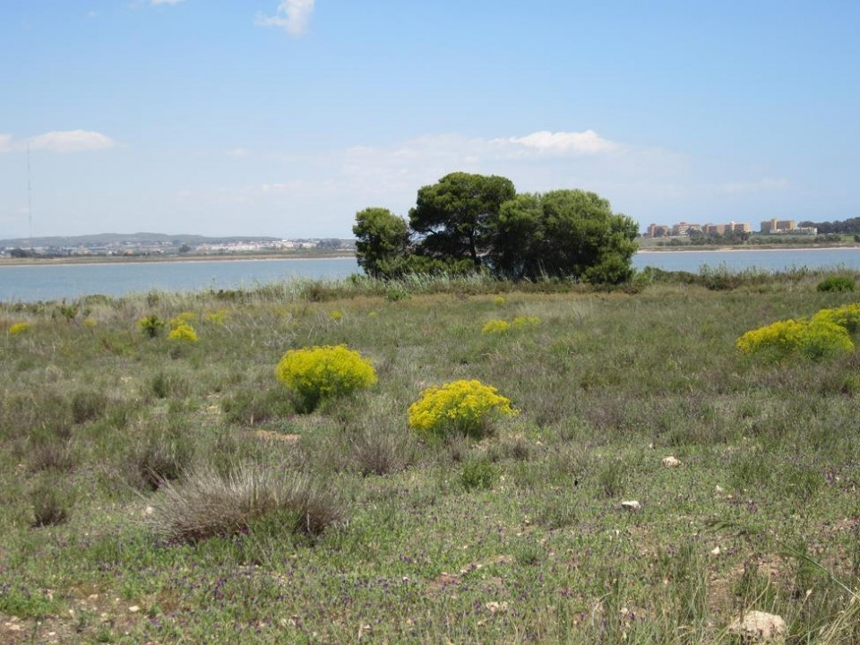 Naturpark La Mata_18