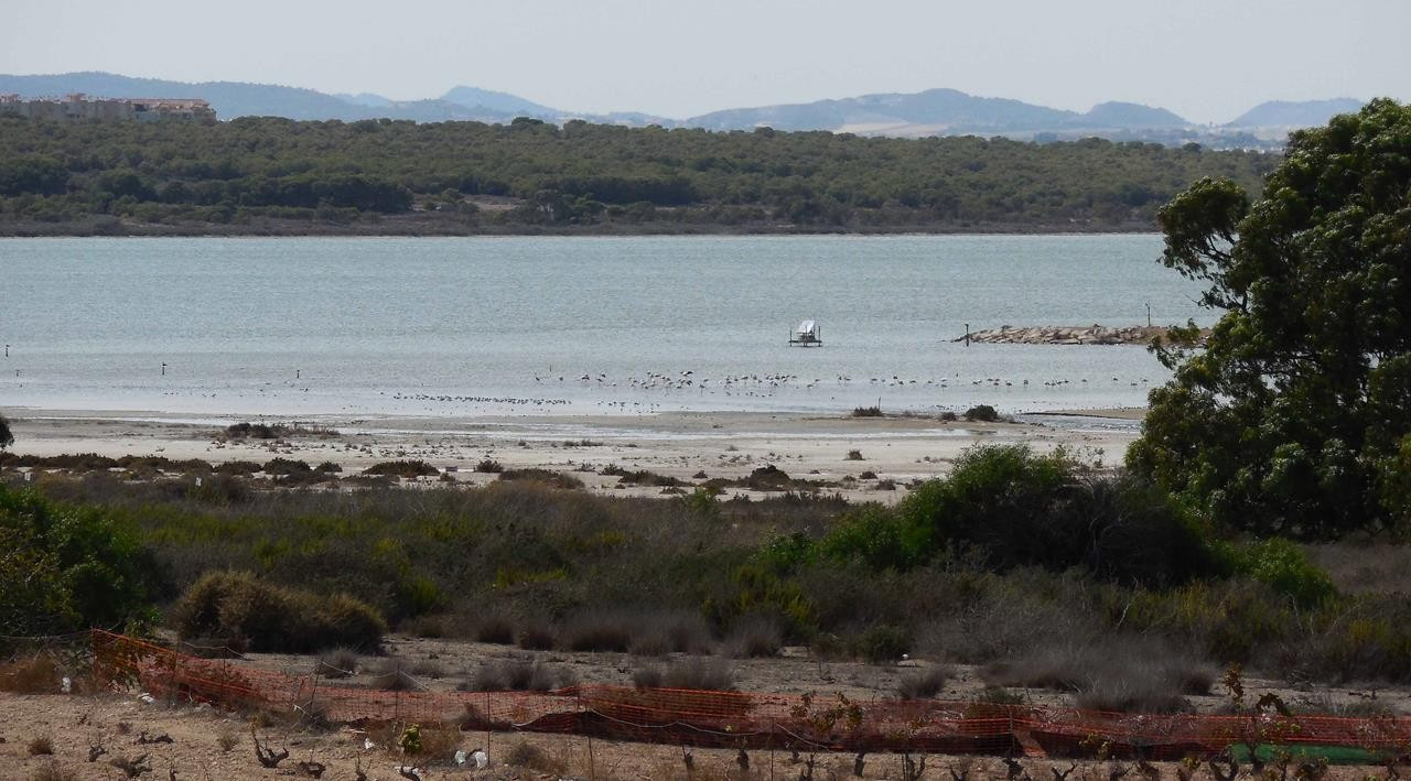 Naturpark La Mata_19