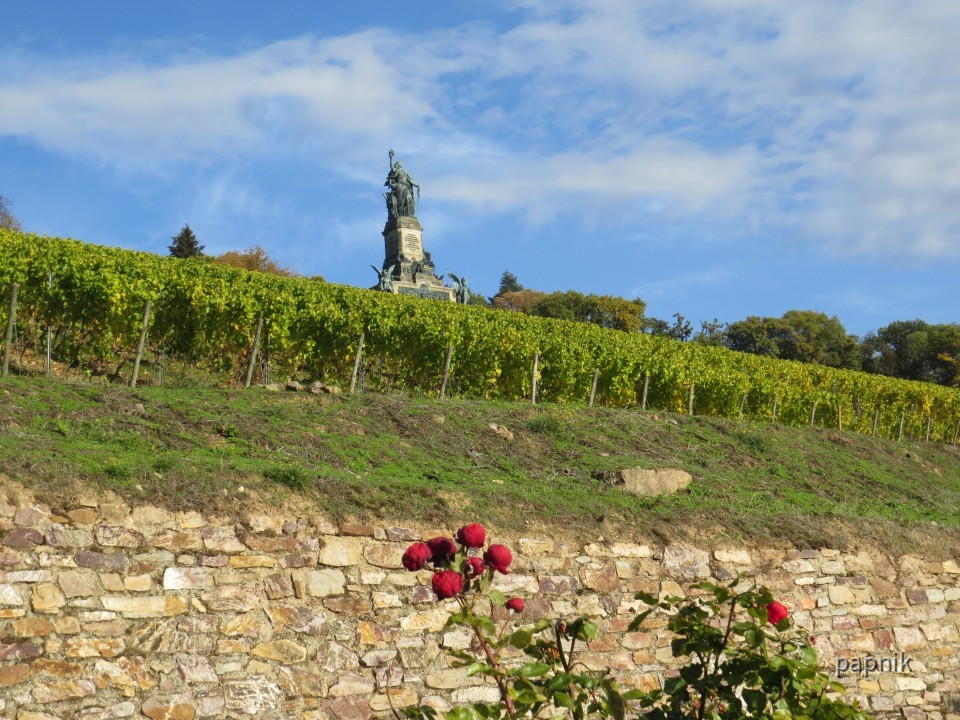 Am Roseneck bei Rüdesheim