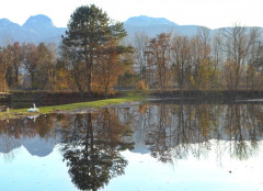 Herbst