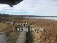 Ammersee