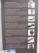 Abodiacum Epfach