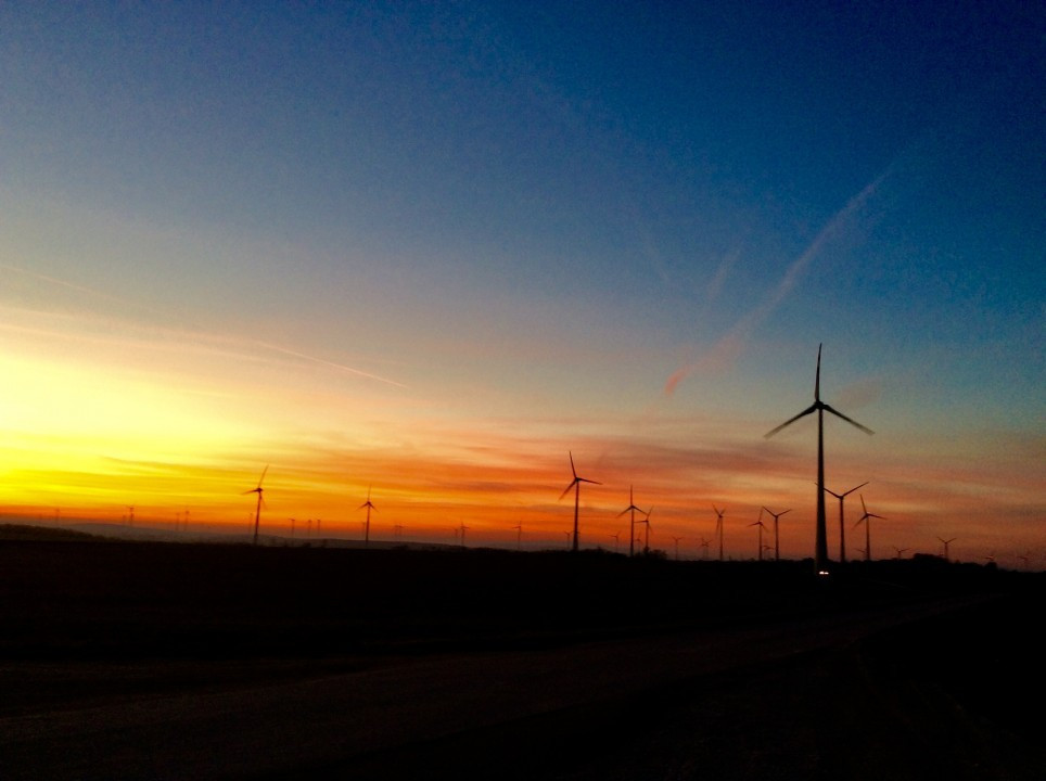 Abendstimmung im Weinviertel