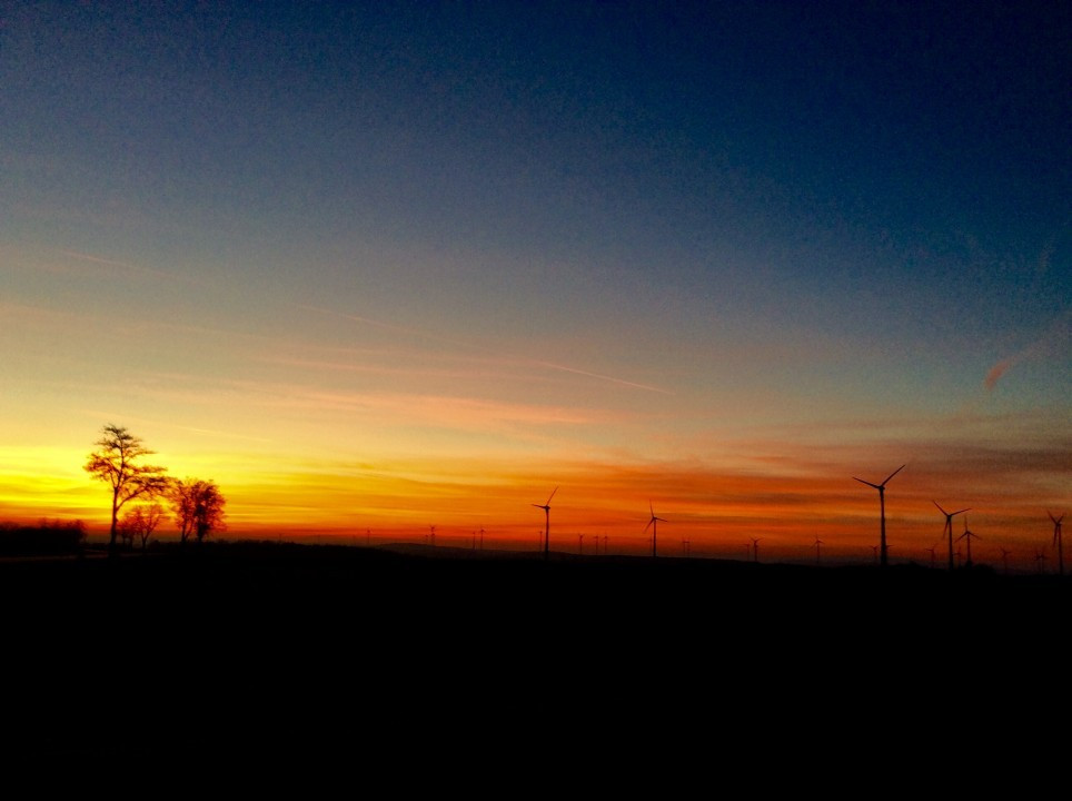 Abendstimmung im Weinviertel