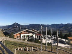 Ofterschwanger Horn