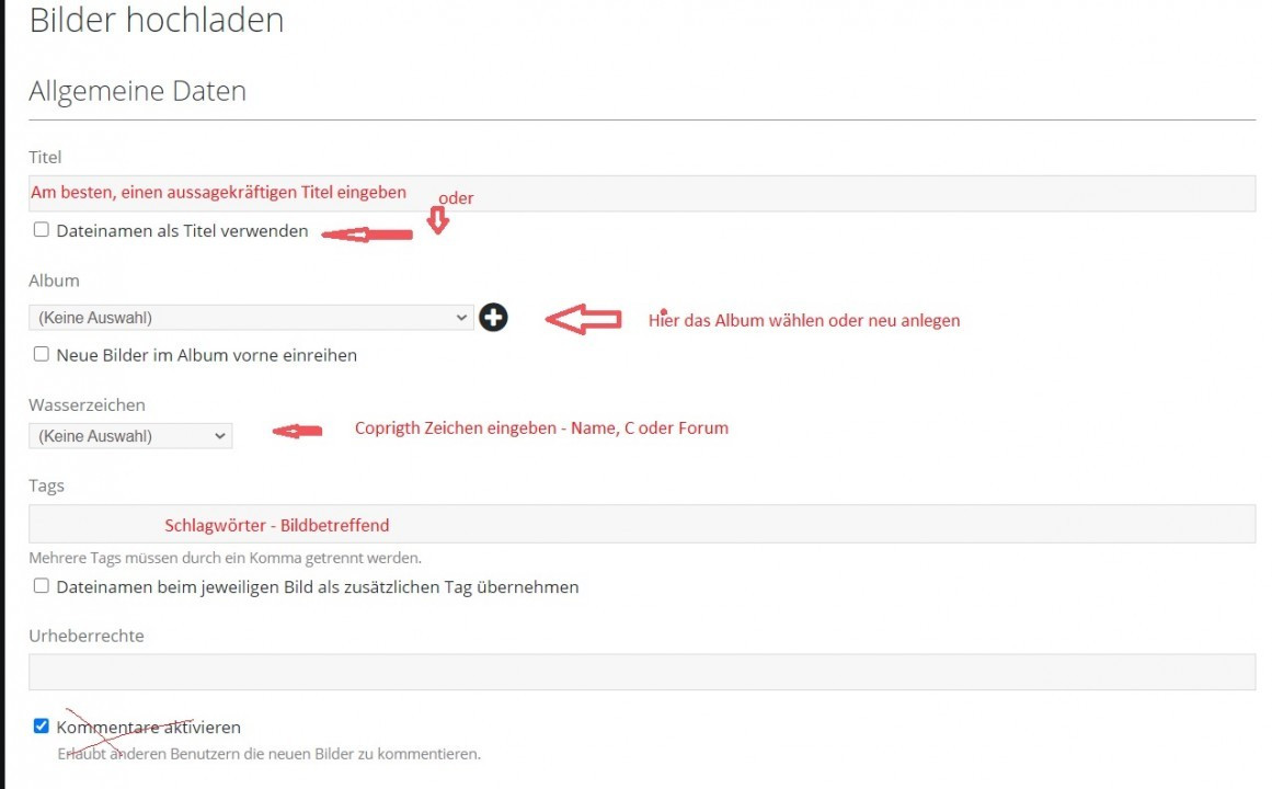 ?random=0&maxWidth=0&embedded=1&thumbnail=medium