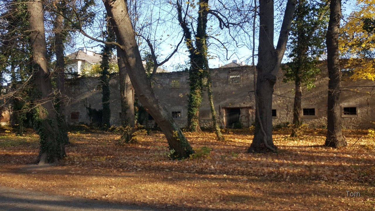 Alte Stallungen