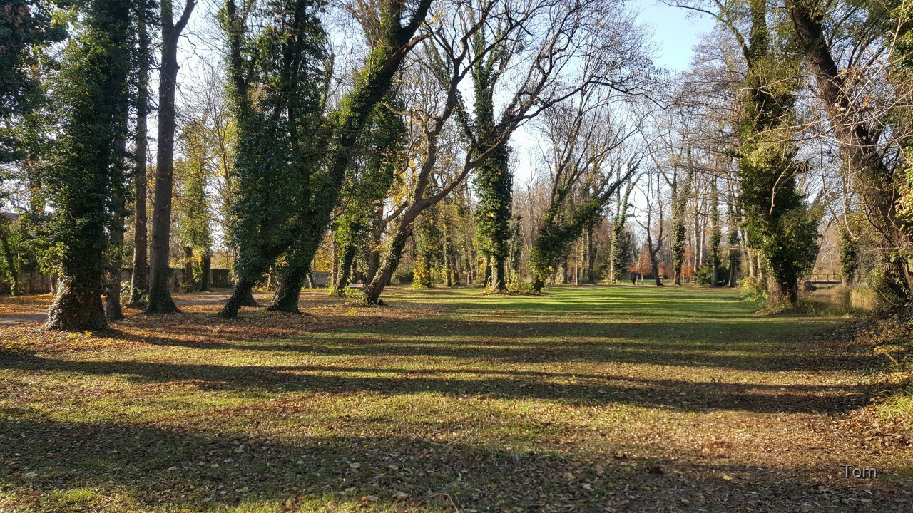 Park