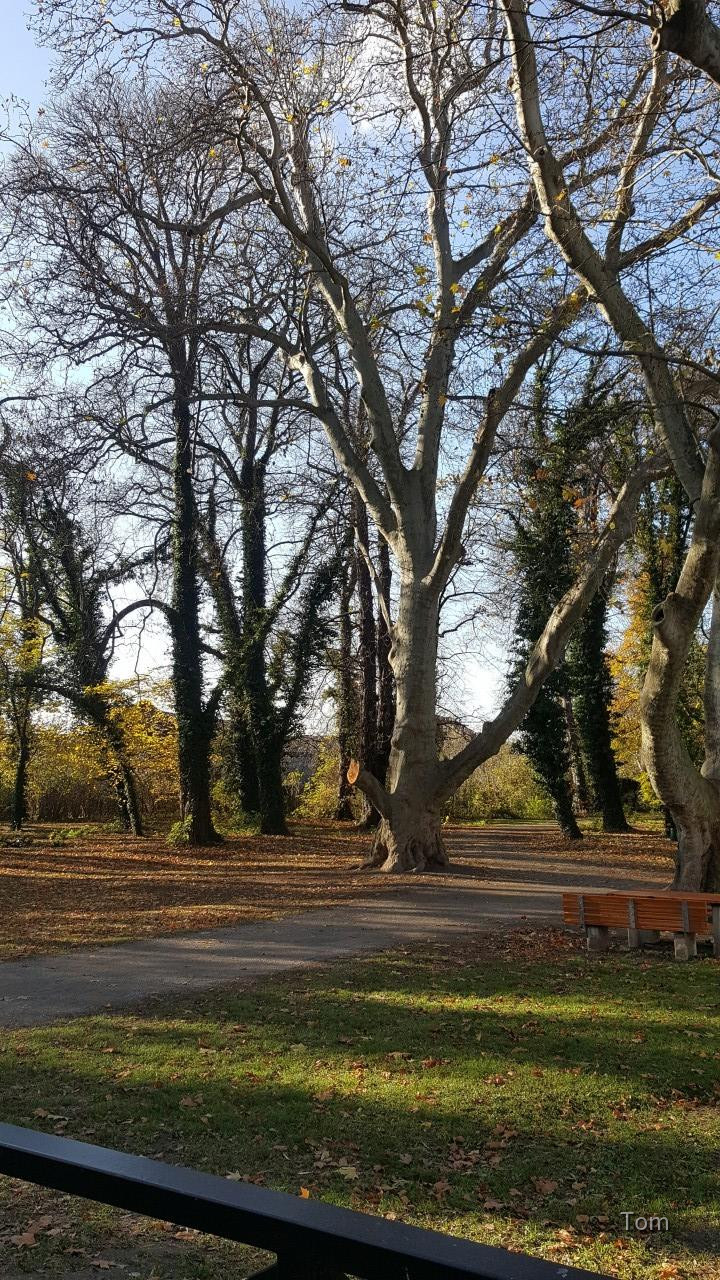 Park