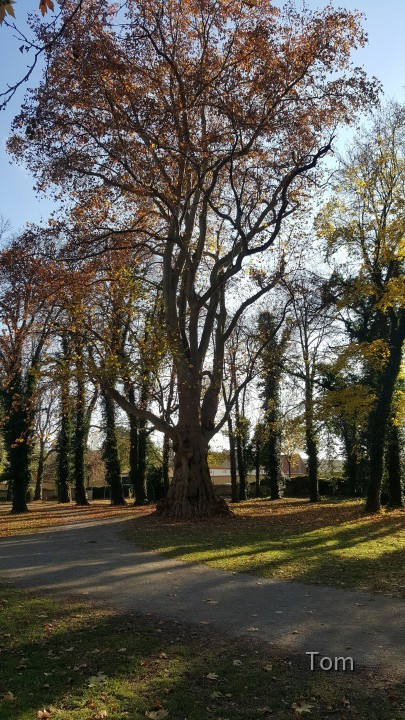 Park