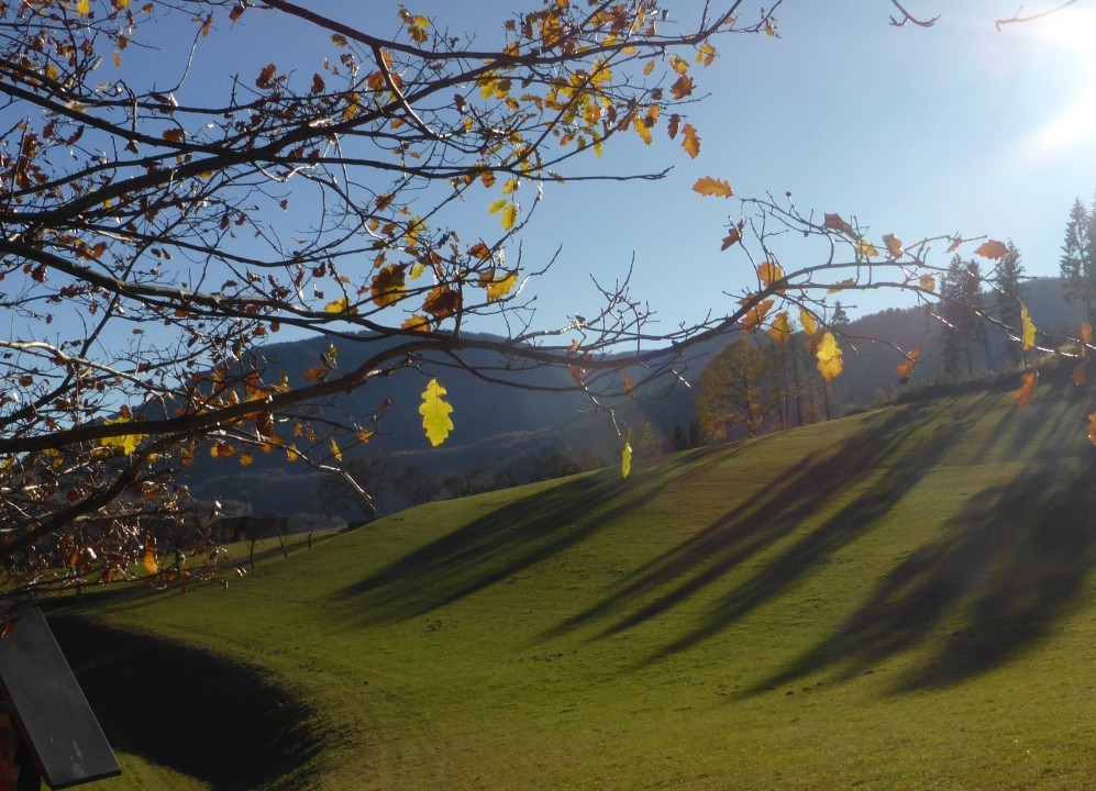 Spätherbstwanderung nahe Gloggnitz (7)