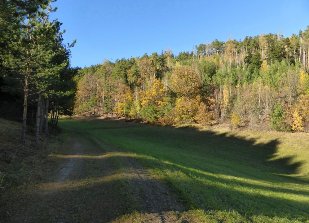 Spätherbstwanderung nahe Gloggnitz (1)