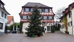 Weihnachtsbaum 2020 Hagnau am Bodensee