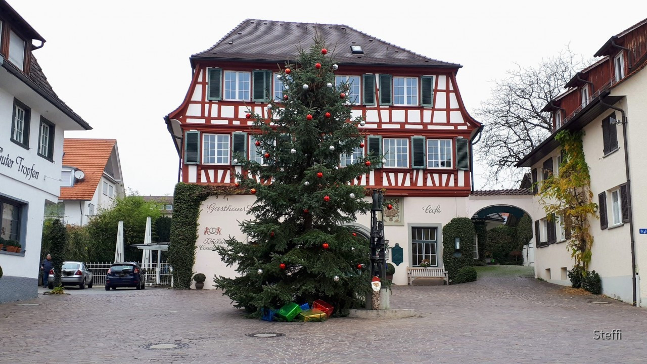 Weihnachtsbaum 2020 Hagnau am Bodensee