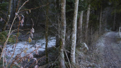 Osterhofen 28.11 (6)