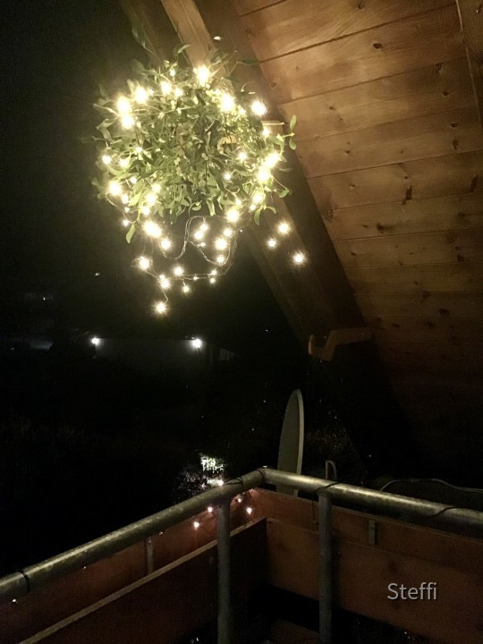 Mistelstrauch beleuchtet