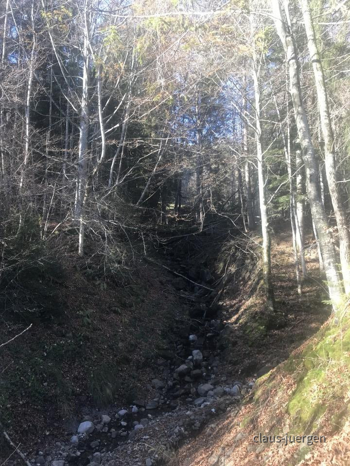 ?random=434955641&maxWidth=0&embedded=0&thumbnail=large