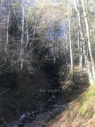 Rangiswanger Horn
