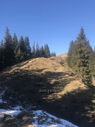 Rangiswanger Horn