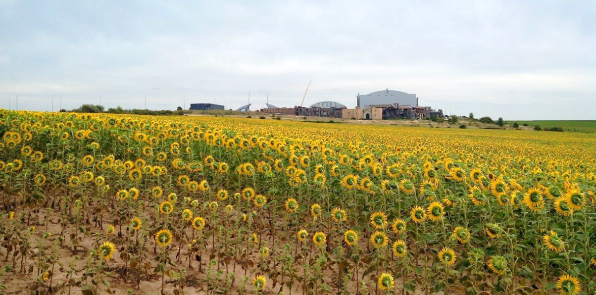 Sonnenblumen, Bauwerk