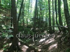 Teufelsküche
