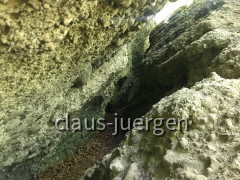 Teufelsküche