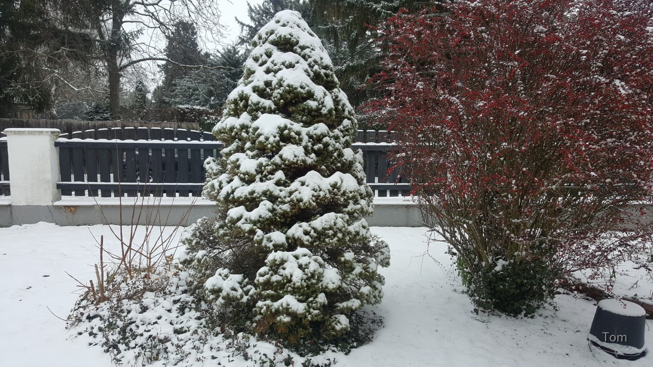Erster Schnee 2020 Ebenfurth