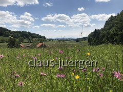 Günztal