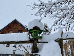 Vogelhäuschen