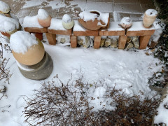Schneegestöber