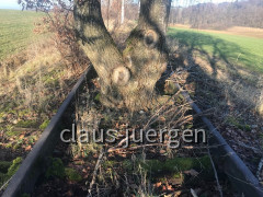 Heimaträtsel Bahn
