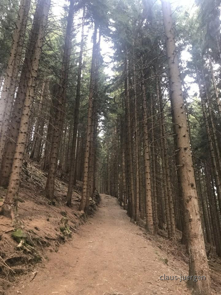 ?random=529460927&maxWidth=0&embedded=0&thumbnail=large