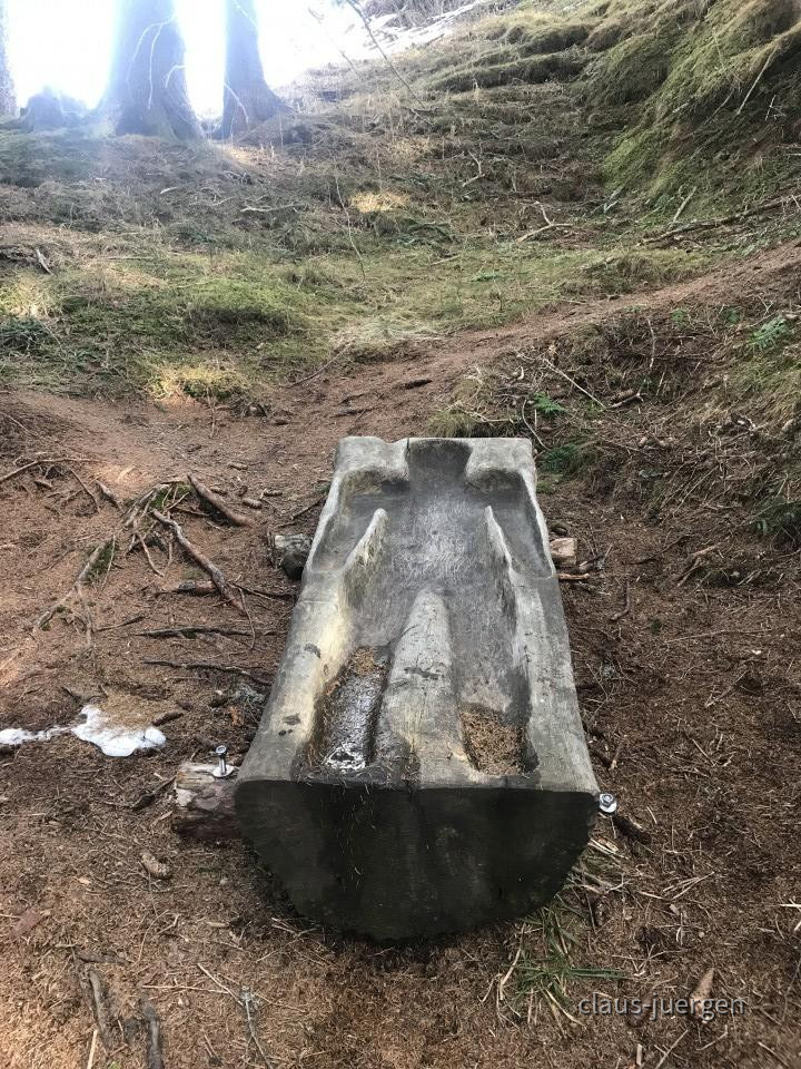 ?random=970559698&maxWidth=0&embedded=0&thumbnail=large