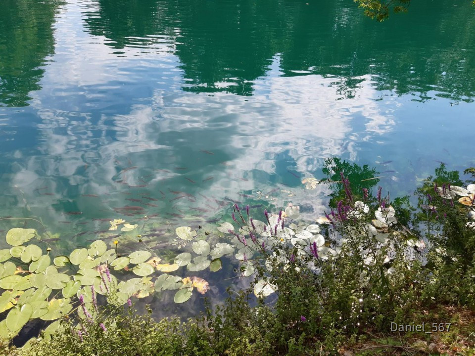 05_Krka Lozovac