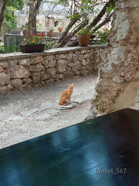 16_Krka Lozovac
