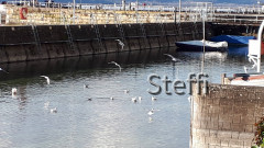 Weihnachten 2020 Meersburg (1)