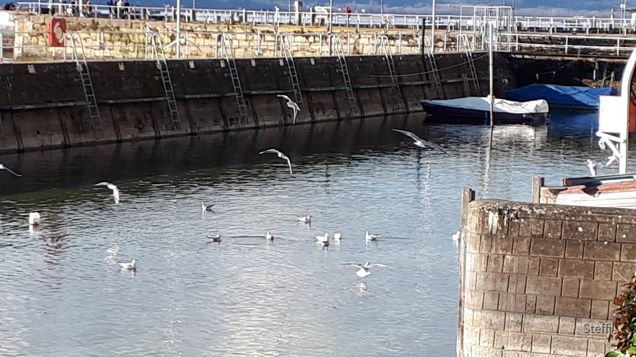 Weihnachten 2020 Meersburg (1)