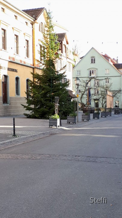 Weihnachten 2020 Meersburg (7)