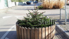 Weihnachten 2020 Meersburg (8)