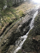 Bärenkopf