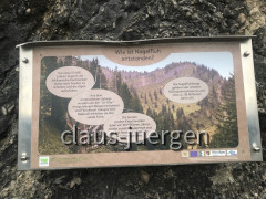 Bärenkopf