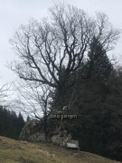 Bärenkopf