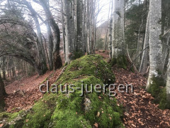 Bärenkopf