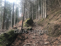 Bärenkopf