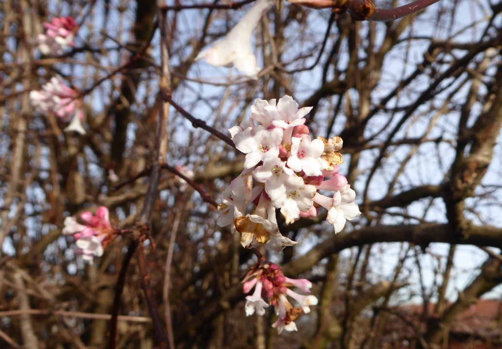 ?random=858623412&maxWidth=0&embedded=0#imageAnker_44647